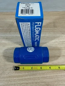 Válvula de retención FLOMATIC 1" 80DI 4031DI EE. UU. - NOS - Imagen 1 de 6