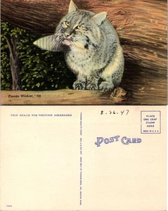Postal de colección - Florida Wildcat 1947 - Imagen 1 de 1