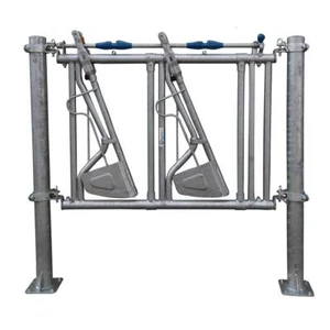 Sicherheits-Selbstfangfressgitter 2 Plätze auf 1,6 m Fressgitter Rinder - Bild 1 von 2