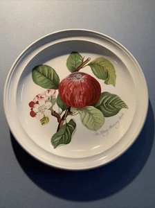 Vintage Portmeirion Pomona Dinner Plate 10.5" THE HARRY MORNING APPLE England - Picture 1 of 4