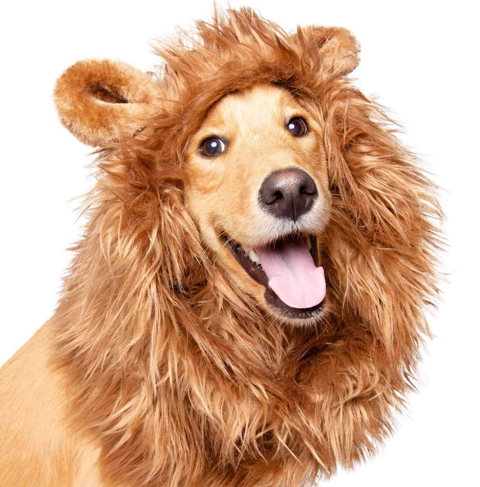 Awesome Large Adorable Fierce Pet Dog Lion Mane Collar Neck Wig Costume Warmer