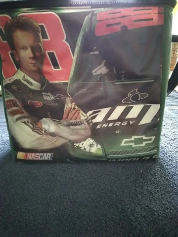 DALE EARNHARDT JR. NASCAR #88 INSULATED  COOLER BAG Cover