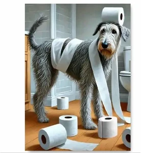 Irish Wolfhound Dog Funny Bathroom Artwork Printed on Metal Sign Waterproof - Picture 1 of 3