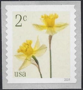 US 2024 Stamps 2 cent Daffodil Scott #5903 single - Picture 1 of 1