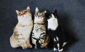 New 50cm 3D Cat Plush Toys Soft Doll Sleep Pillow Cushion Doll Home Decor Gifts - Picture 1 of 27