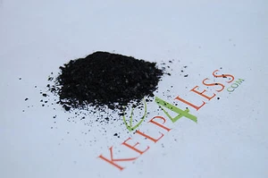 Kelp Seaweed Organic Fertilizer 1/2 pound Water Soluble - Picture 1 of 2