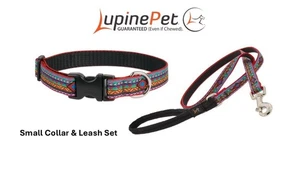 Lupine Originals EL PASO Dog Set Collar 8"-12" & Leash 1/2"x4' Small Pet - Picture 1 of 4