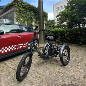 Fafrees F20 Mate Elektro Dreirad 20 Zoll E-Bike 500W 3 Räder Fahrrad mit Korb - Bild 1 von 12