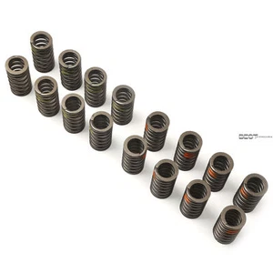 16x Intake&Exhaust Valve Spring Kit 06E109623H Fit For AUDI SEAT SKODA 1.8/2.0 T - Picture 1 of 7