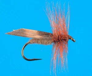 Kings River Caddis, 6 pcs. size 20 - (CLOSEOUT) - Picture 1 of 1