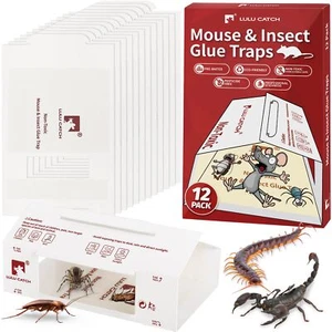 12Pcs Foldable Bulk Non-Toxic Indoor Glue Pre-baited Sticky Traps, Pest Control - Picture 1 of 7