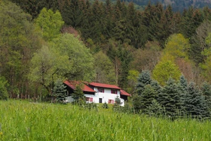 Ferienhaus Bayerischer Wald - Traumlage - Bernried nahe Deggendorf und Donau - Bild 1 von 12