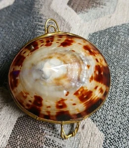 Vintage Victorian Real Sea Shell Trinket Pill Box - Picture 1 of 7