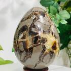 860G Natural Septarian Dragon Stone Crystal Egg Quartz Healing Decoration