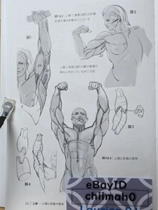 Draw the ultimate muscular body human body drawing book Anime Character mz - Picture 1 of 12