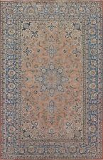 Coral Peach/ Blue Floral Vintage Najafabad Area Rug 9'x12' Traditional Carpet