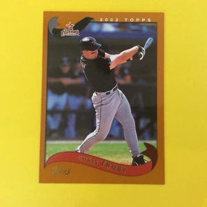 2002 Topps #8 Chris Ruby Houston Astros - Picture 1 of 2