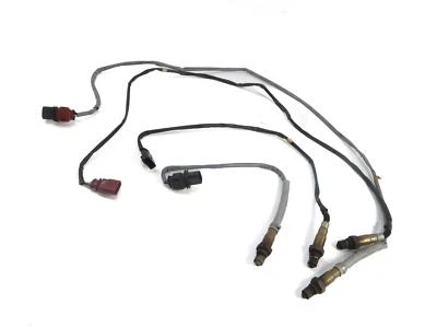 Porsche Cayenne Hybrid (958) 2012 3,0 L pre post Cat O2 sensor conjunto-4 Foto 1 de 4