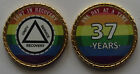 Alcoholics Anonymous Lgbt 37 Year Rope Edge Sobriety Coin Chip 1 3/4"