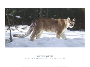 Winter Shadows Mill Pond Press Artist Daniel Smith Lion Snow 16x12 in - Picture 1 of 1