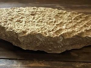 ENORME 6,25 pulgadas Cocodrilo Osteodermo Escudo Fósil Cocodrilo Cretácico - Imagen 1 de 14