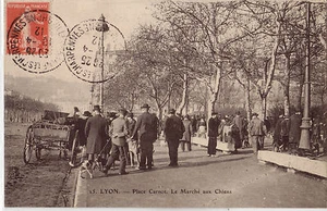 CPA - 69 - LYON - Place Carnot. Le Marché aux Chiens. - Imagen 1 de 1