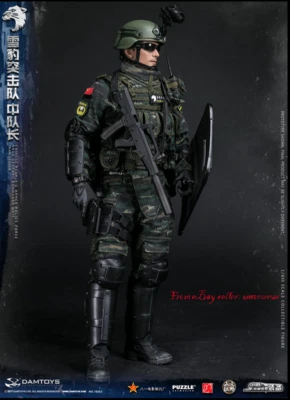 Damtoys 78053 Chinese Armed Police Force Snow Leopard Commando Unit Team Leader - Image 1 of 4