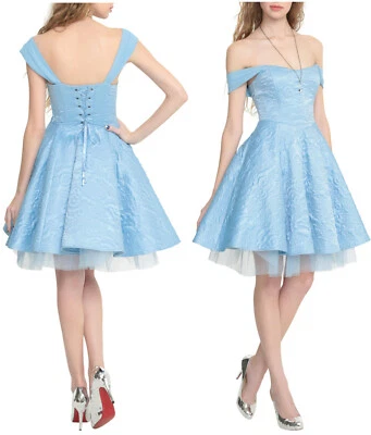 Disney Princesa Cenicienta Corsé Vestido de Baile Vestido de Fiesta Azul Tul Falda JRS L  Foto 1 de 4