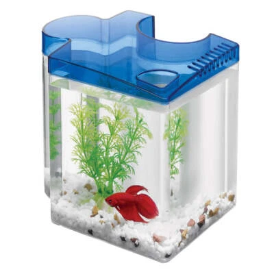 Aqueon Betta Puzzle Acuario Pecera Kit, Azul, Medio Galón Foto 1 de 4