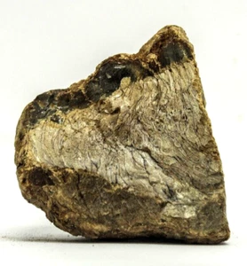 122G AMAZING Natural YELLOW BROWN Amber Rough Mineral Specimen - Picture 1 of 7