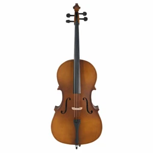 Professional 4/4 Matte Golden Acoustic Basswood Cello Case Bow Rosin Adults US - Picture 1 of 9