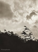 1924/56 Vintage Josef Sudek Grass Clouds Sky Nature Landscape Photo Gravure Art