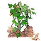 Reptile Climbing Branch Leaves With Suction Cups Terrarium Plant Decoration T...