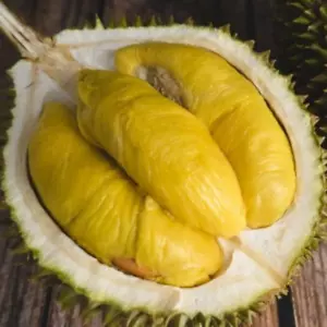 BeauFlora Híbrido Durian (Rey Musang, Plántula) Exótica 1 Planta de Raíz Desnuda - Imagen 1 de 2