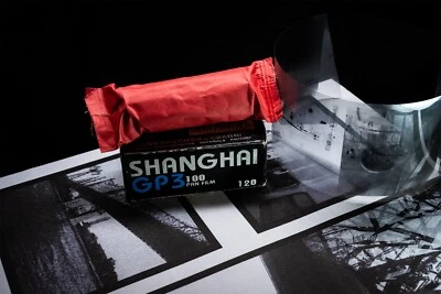 Unique - Expired 2008 Shanghai GP3 100 Pan 120 Film - Super Grainy & Lofi - Image 1 of 4