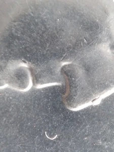 LOT 2022 P SALLY RIDE QUARTER - DROOL / NOSE CHIP  ERRORS - DUAL RIM - GHOST ARC - Picture 1 of 12