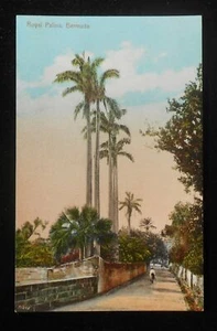 Cartolina Bermuda Palme Reali 1910 - Foto 1 di 1