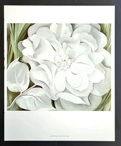 Georgia O' Keeffe White Calico Botanic Flowers Art Print Book Plate 98 - Picture 1 of 2