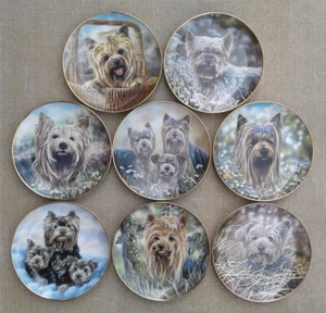 DANBURY MINT - THE YORKSHIRE TERRIER - SELECTION OF PLATES - ONLY A FEW LEFT NOW - Bild 1 von 20