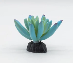 ProRep pianta sedum blu 10 cm acquario decorazione tropicale vivaio - Foto 1 di 1