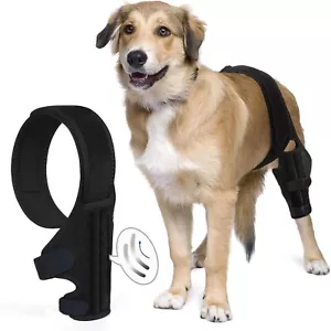 Medium Dog Leg Braces for Back Leg for Support with Cruciate Ligament Injury-... - Picture 1 of 6