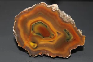 Condor agate collector specimen (fluorescent) - Picture 1 of 5