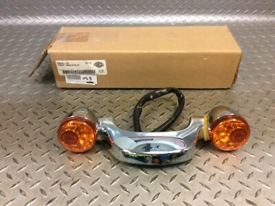 Soporte de señal de giro trasero 10-23 Harley Davidson Road Glid HDI 73312-10 Foto 1 de 4