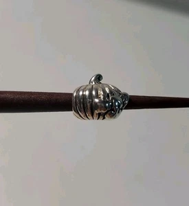 Dije de calabaza de caída con dije se adapta a pulseras de diapositivas - Imagen 1 de 9