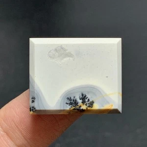 Maligano Jasper Cabochon 22x18x6mm High Quality 30.5 ct - Picture 1 of 7
