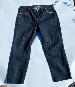 Style & Co Damen 20W Nieten bestickt Slim Leg Premium Denim Blue Jeans - Bild 1 von 7