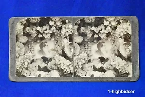 1904 José Smith SUD Mormón a través del estereoscopio Set Stereocard Underwood 1 - Imagen 1 de 2