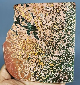 Collection ! Amazing Orbicular Ocean Jasper Agate Small Druzy Slab Reiki Stone - Picture 1 of 12