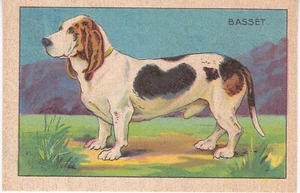 Chrom Haustiere Hund Basset - Bild 1 von 2