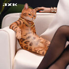 JXK modèle chat léopard échelle 1:6 collection d'animaux scène décoration soldat jouet cadeau